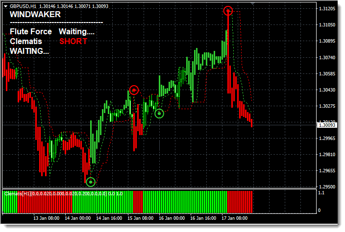 Forex WindWaker Review - Best MT4 Signal System