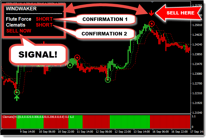 Forex WindWaker Review - Best MT4 Signal System