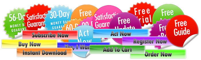 Niche Site Templates Review