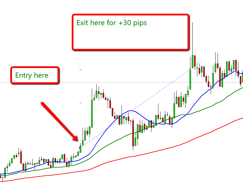 50% off Special Boot Camp Training Course for Trading the Market