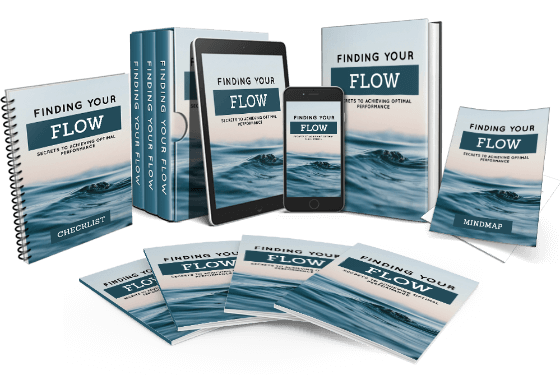 Finding Your Flow PLR OTO